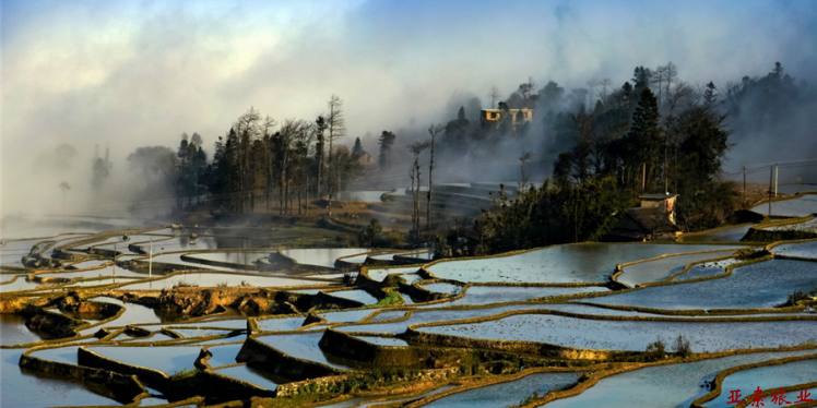 滇南摄影和民族文化茶文化旅游：昆明-建水-元阳-普洱-西双版纳8日游