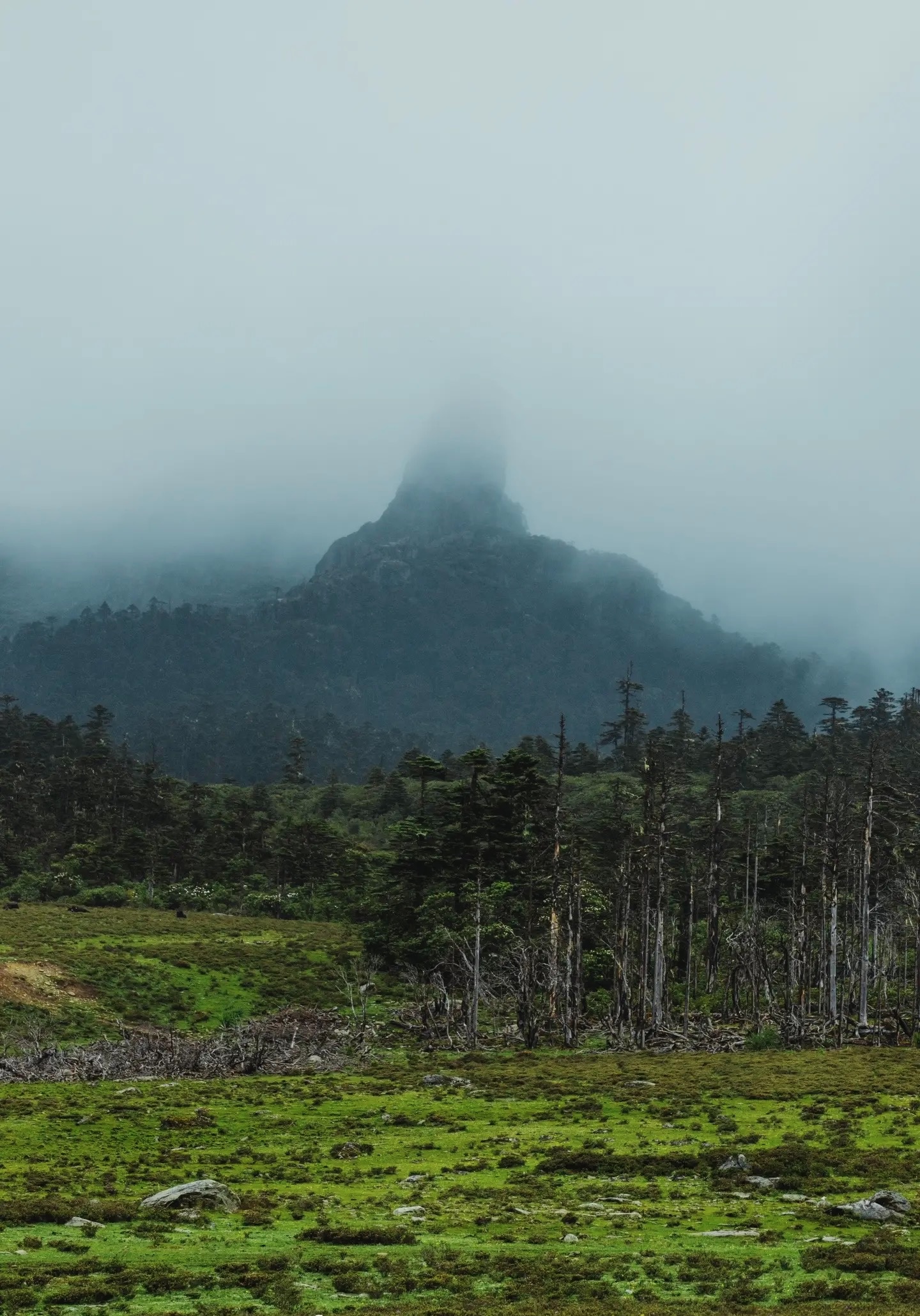 千湖山14