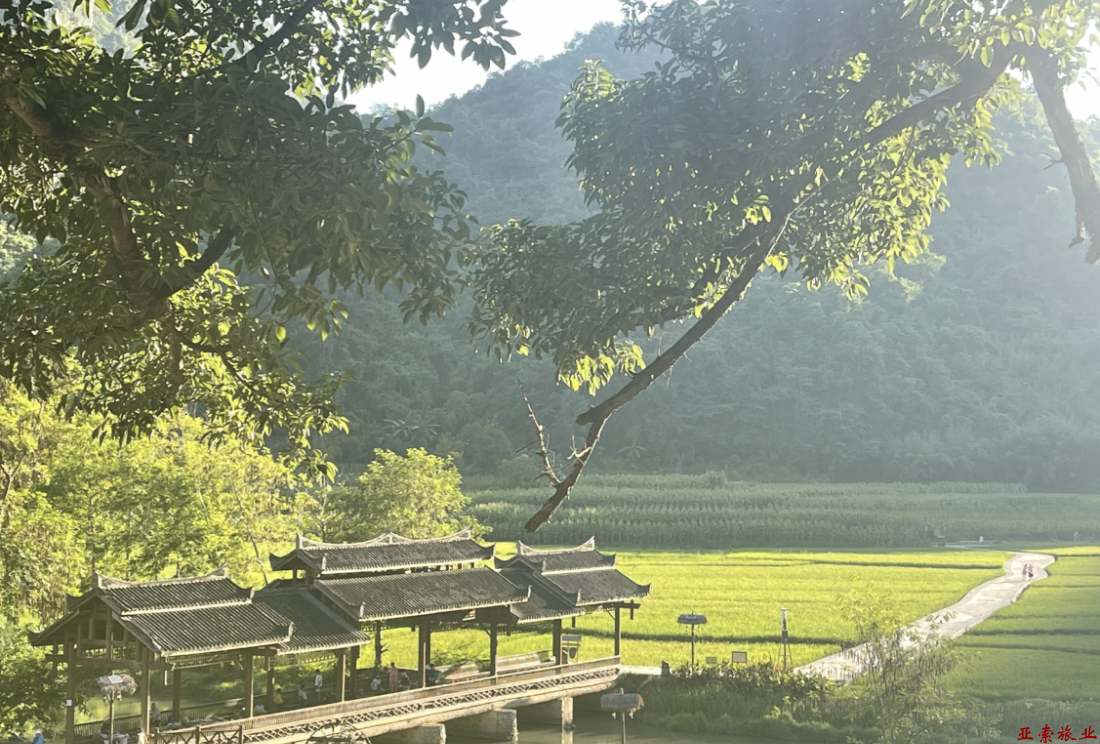 坝美