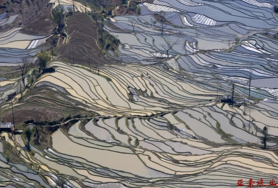 元阳梯田