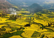 大理旅游-世界各国客人到大理旅游