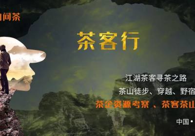 茶客行｜2024国际茶文化交流云南秘境之行