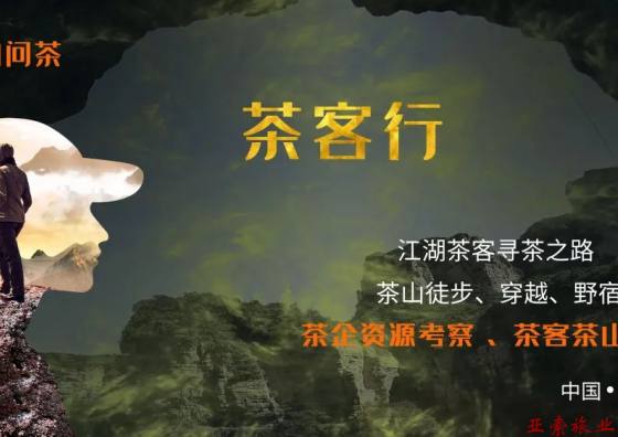茶客行｜2024国际茶文化交流云南秘境之行
